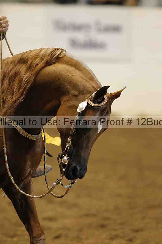 Proof Number 12buck_1094