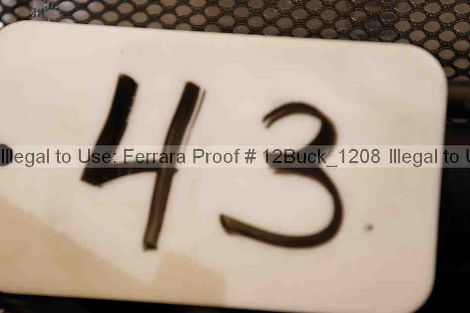 Proof Number 12buck_1208