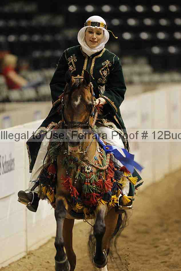 Proof Number 12buck_1307