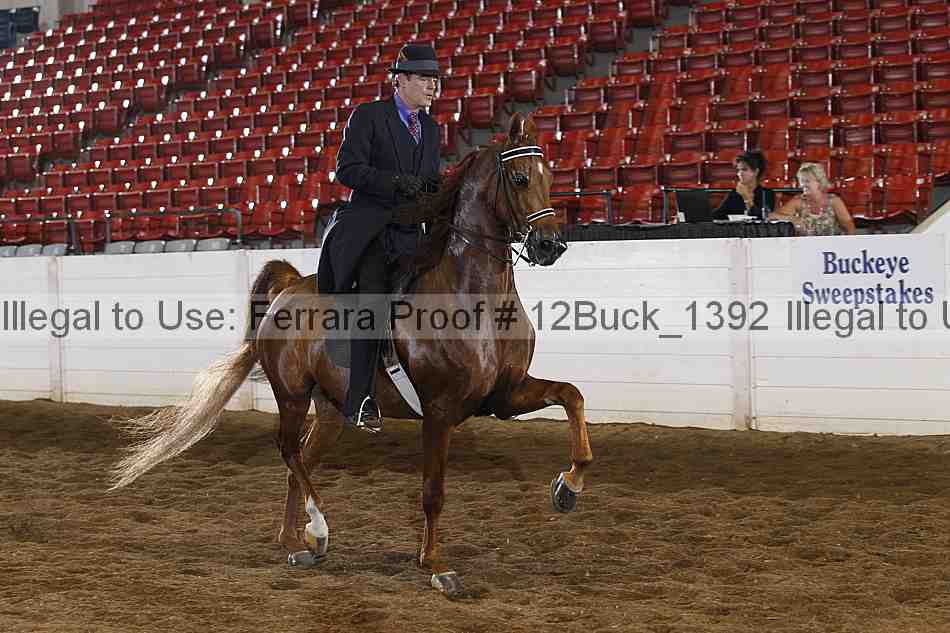Proof Number 12buck_1392