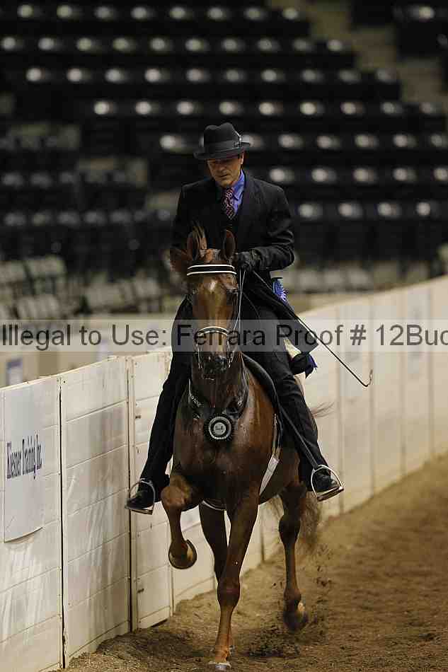 Proof Number 12buck_1402