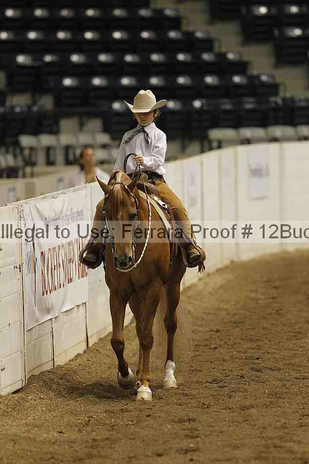Proof Number 12buck_1551