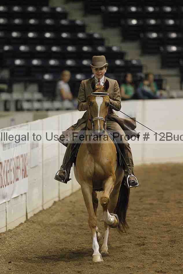 Proof Number 12buck_1593