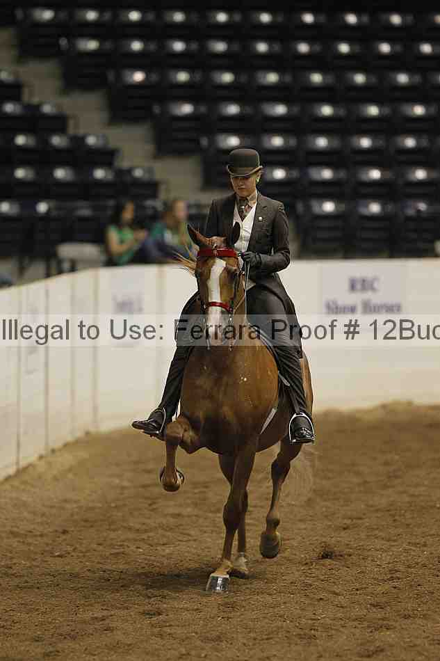 Proof Number 12buck_1595