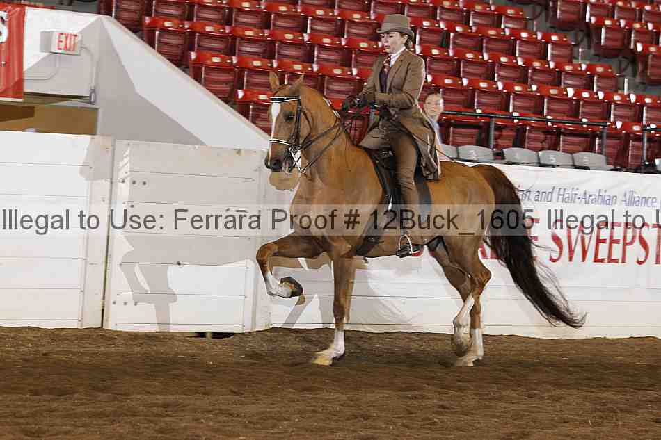 Proof Number 12buck_1605