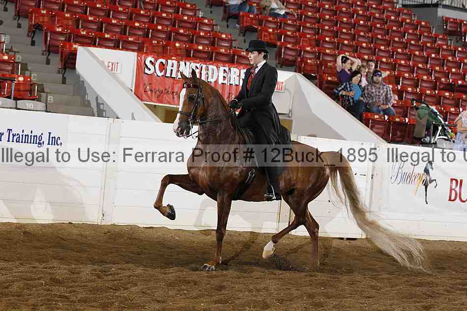 Proof Number 12buck_1895