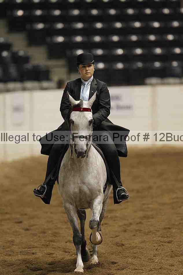 Proof Number 12buck_1952