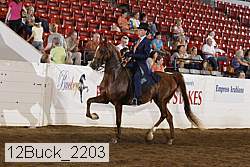 12buck_2203 thumbnail