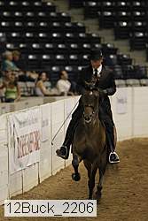 12buck_2206 thumbnail