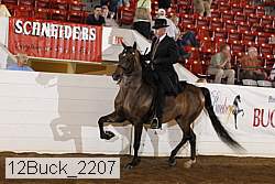 12buck_2207 thumbnail