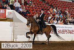 12buck_2209 thumbnail