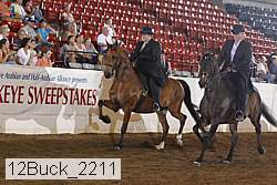 12buck_2211 thumbnail