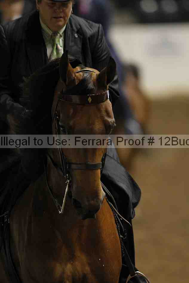 Proof Number 12buck_2213