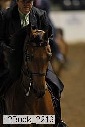 12buck_2213 thumbnail