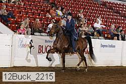 12buck_2215 thumbnail