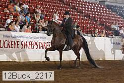 12buck_2217 thumbnail