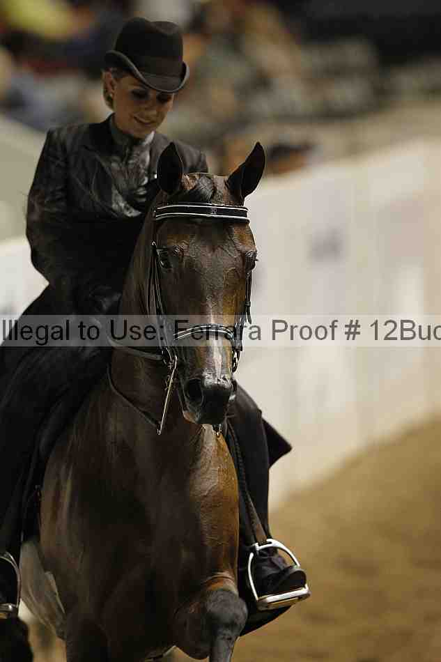 Proof Number 12buck_2305
