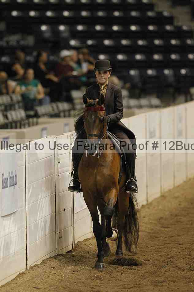 Proof Number 12buck_2365