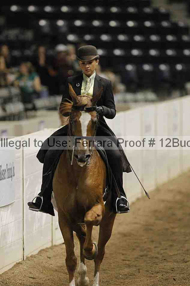 Proof Number 12buck_2391