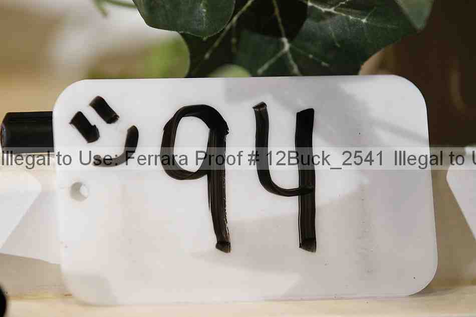 Proof Number 12buck_2541