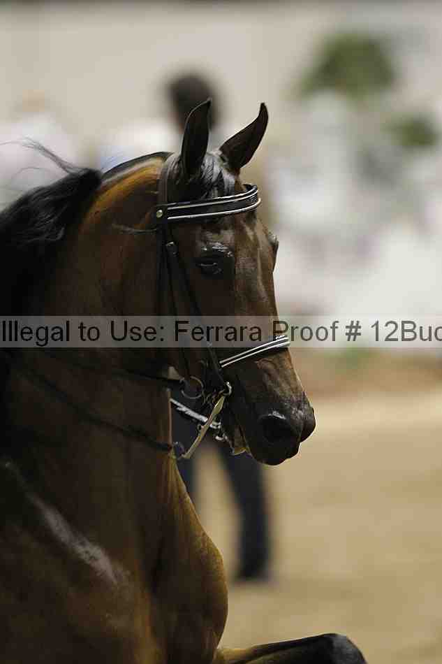 Proof Number 12buck_2552