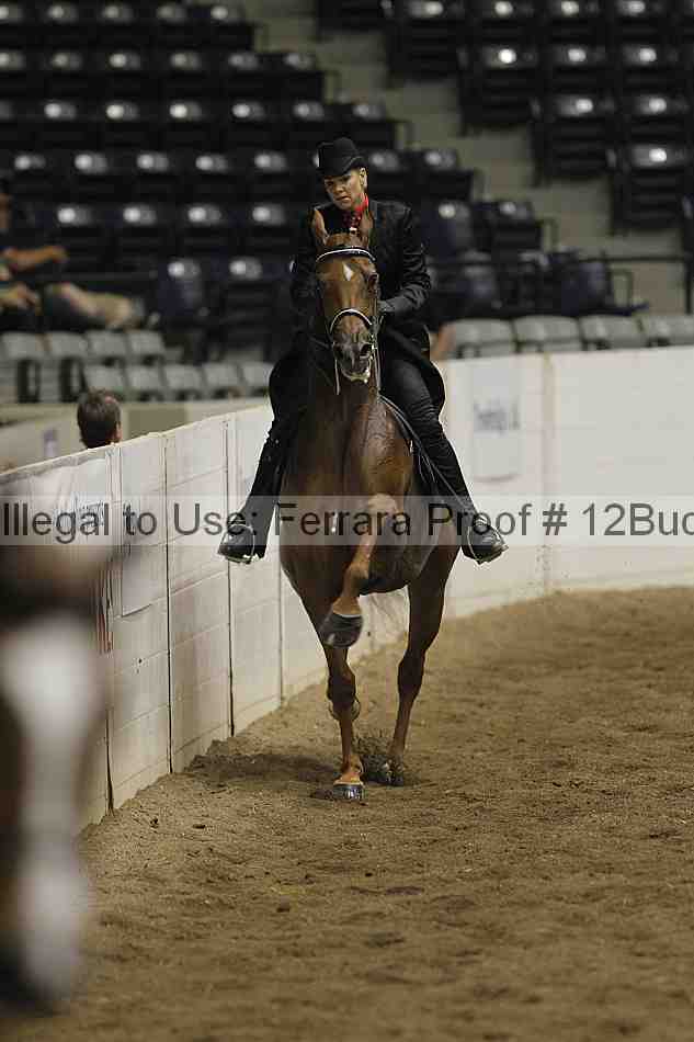 Proof Number 12buck_2564