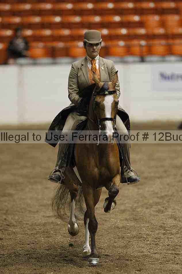 Proof Number 12buck_2689