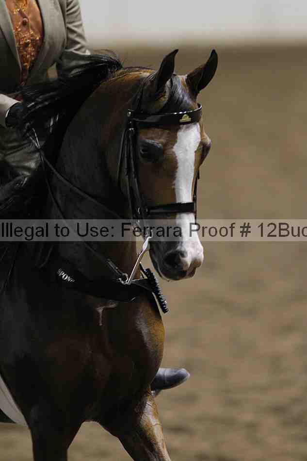 Proof Number 12buck_2706