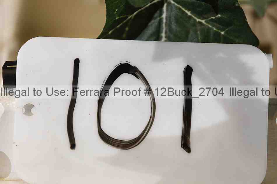 Proof Number 12buck_2704