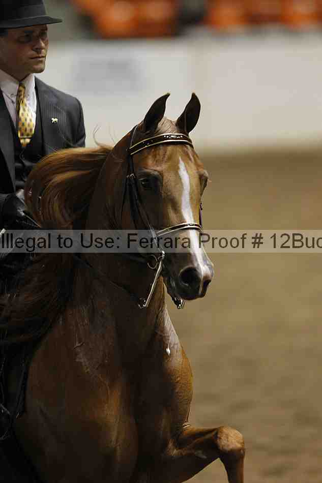Proof Number 12buck_2719