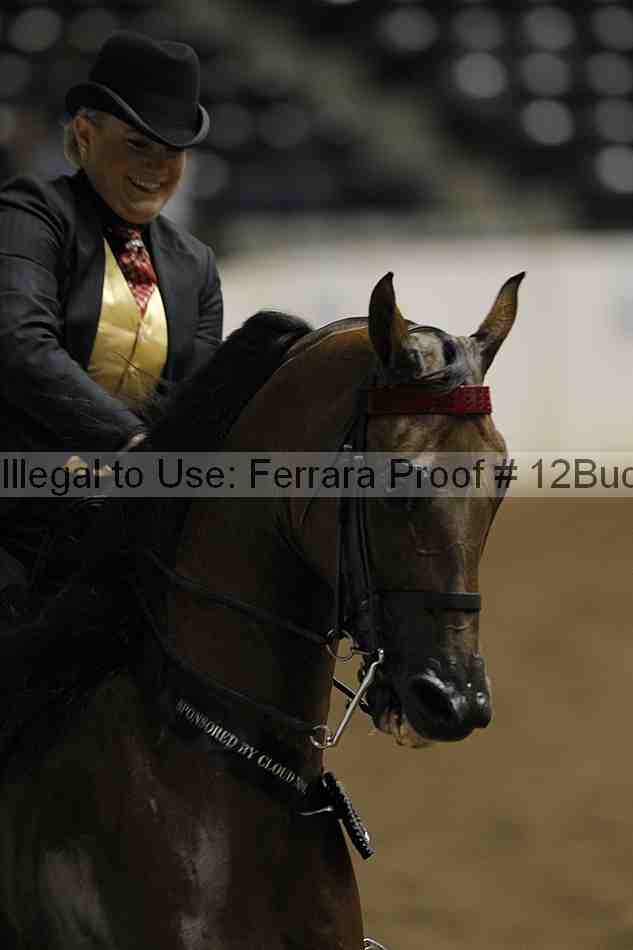 Proof Number 12buck_2805