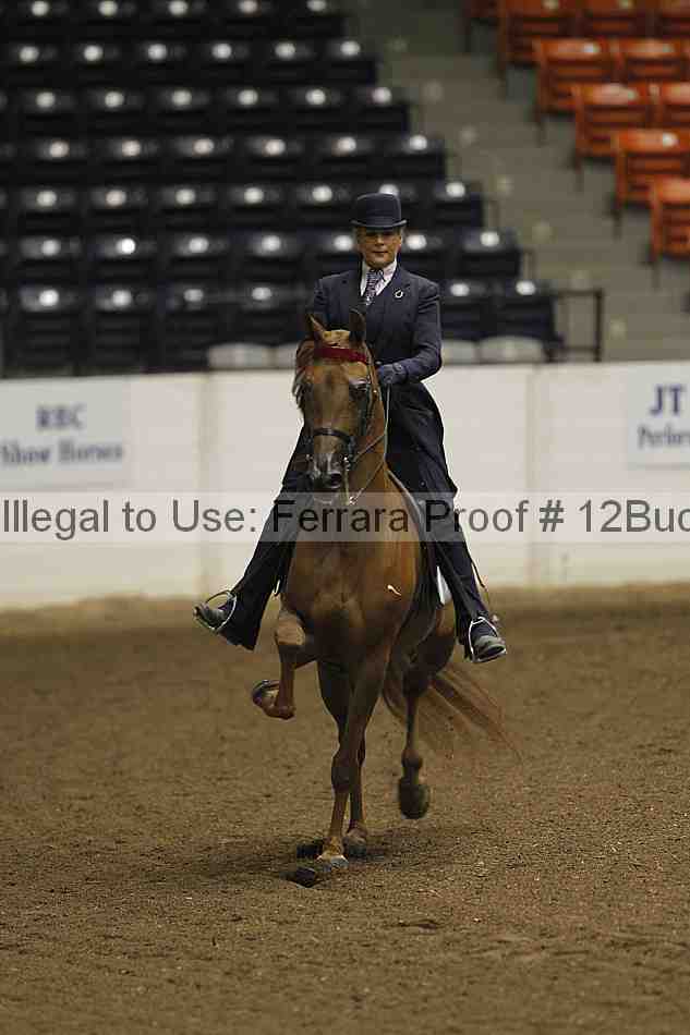 Proof Number 12buck_2891