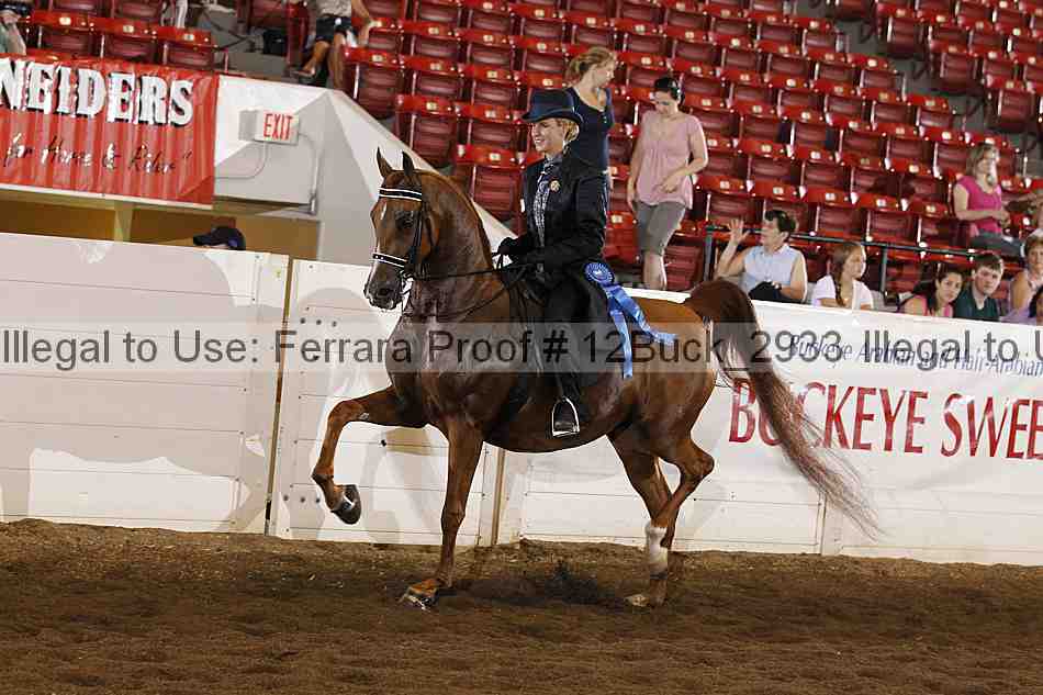Proof Number 12buck_2933