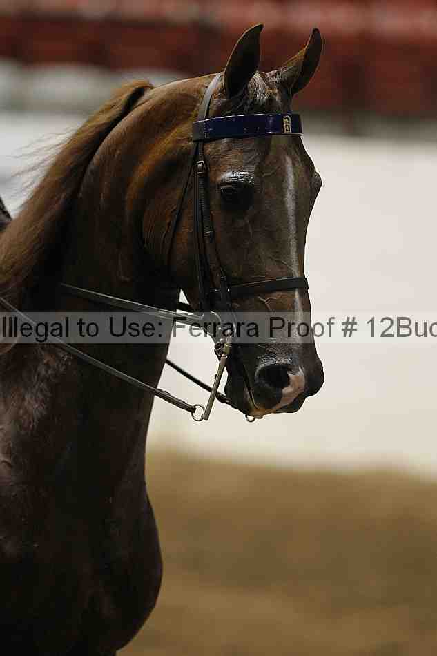 Proof Number 12buck_2939