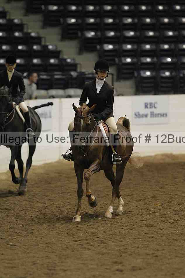 Proof Number 12buck_2976