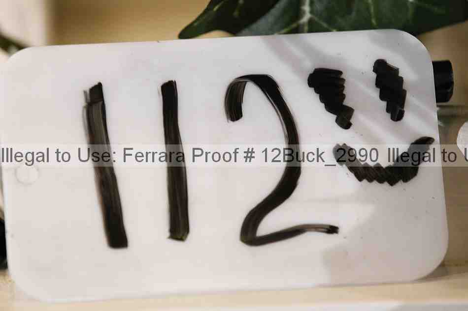 Proof Number 12buck_2990