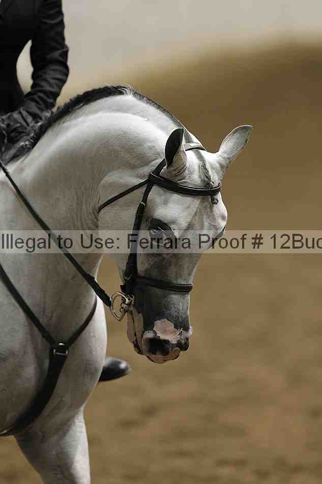 Proof Number 12buck_3128