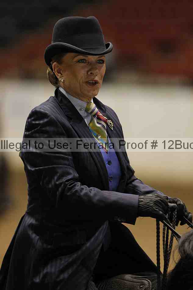 Proof Number 12buck_3257