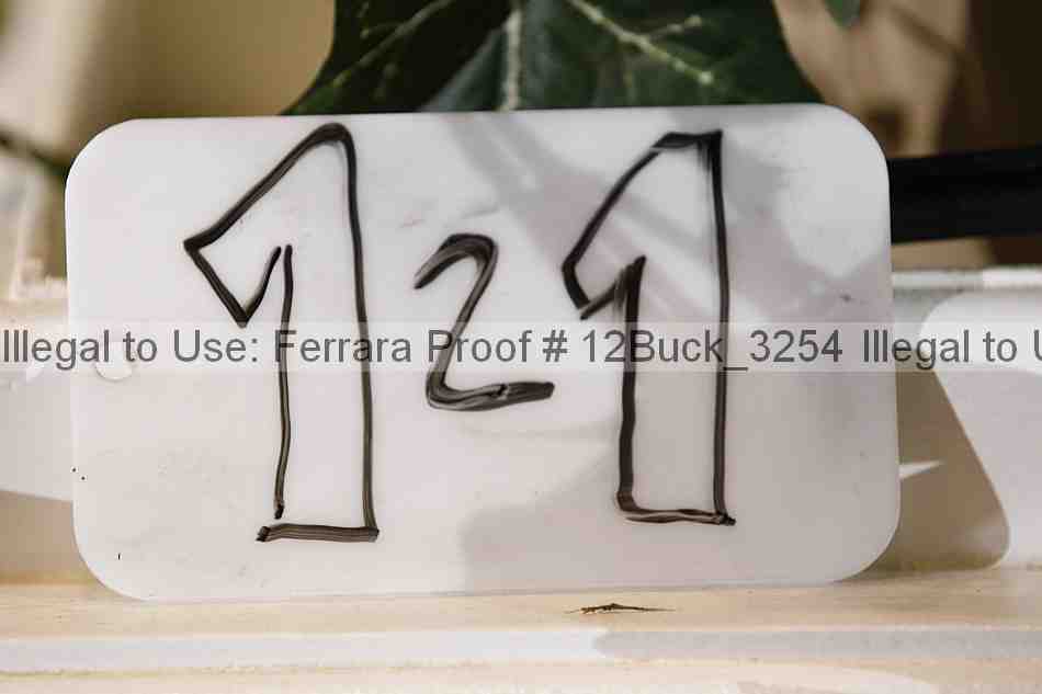 Proof Number 12buck_3254
