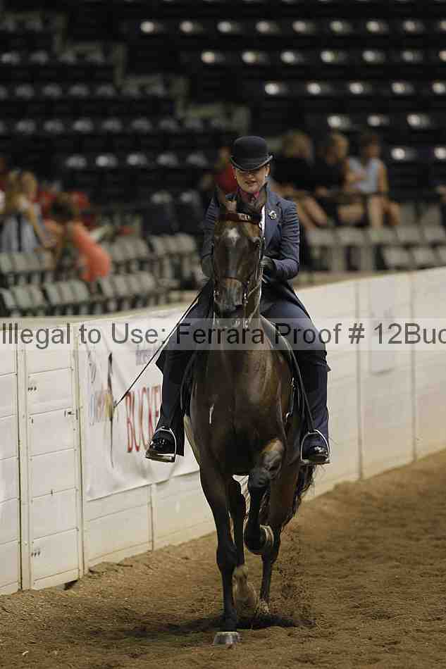 Proof Number 12buck_3266