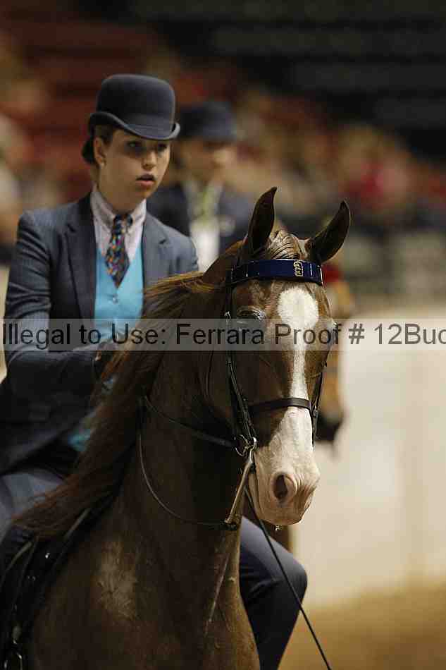 Proof Number 12buck_3276