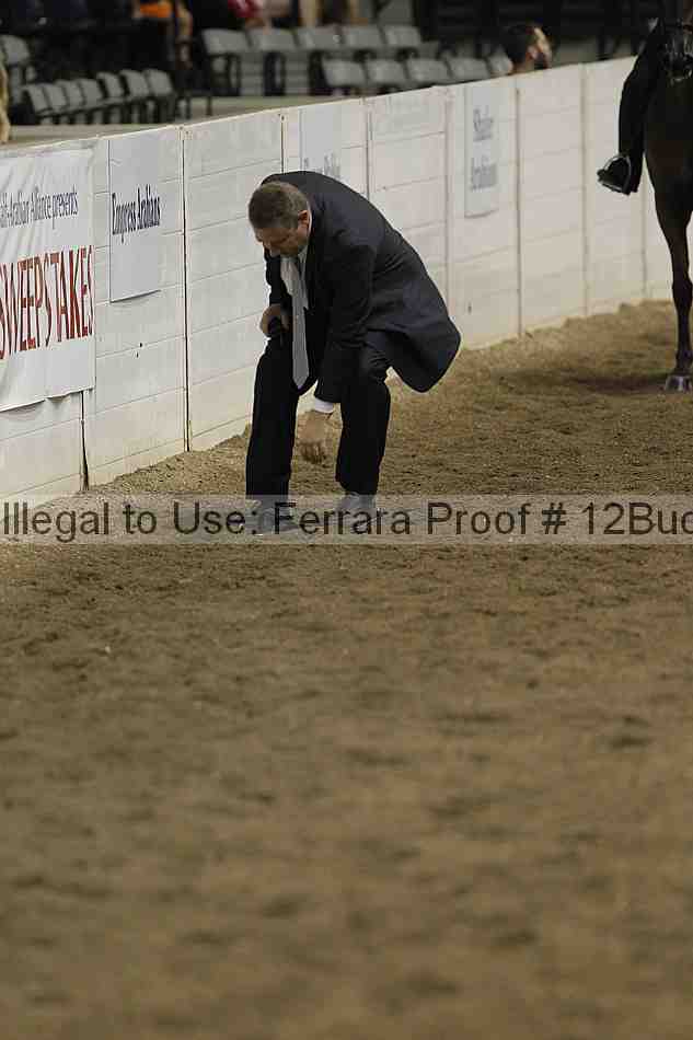 Proof Number 12buck_3281