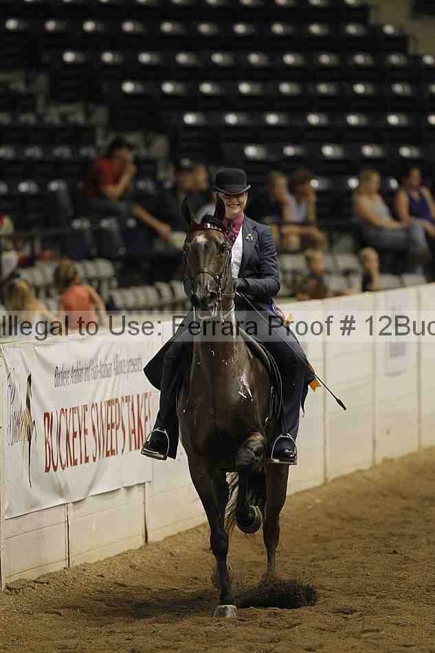 Proof Number 12buck_3290