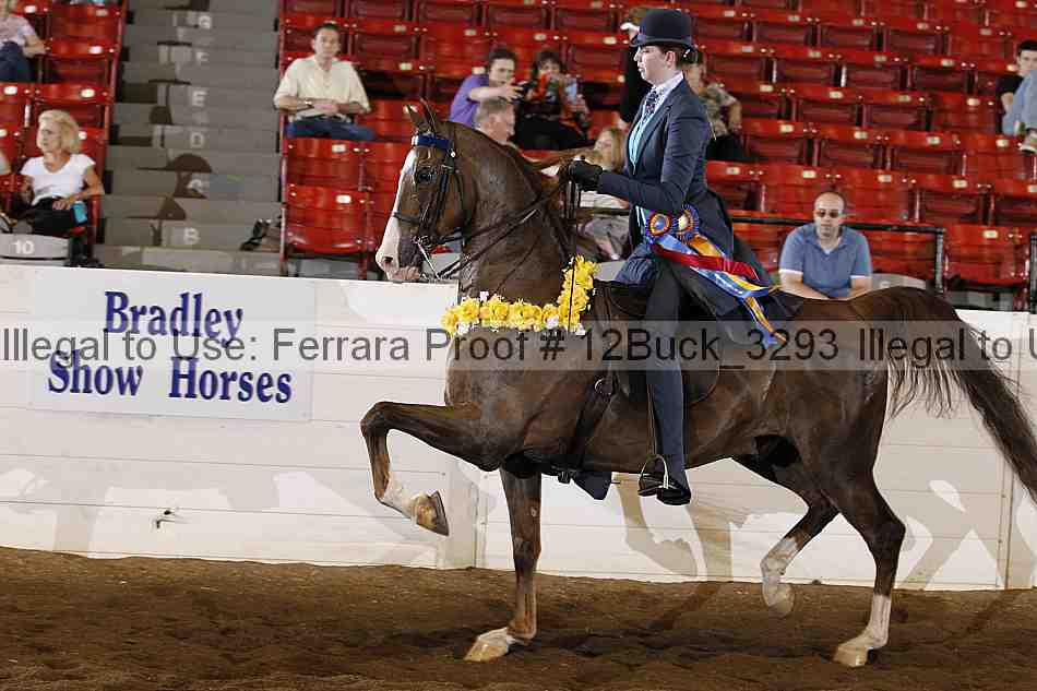 Proof Number 12buck_3293