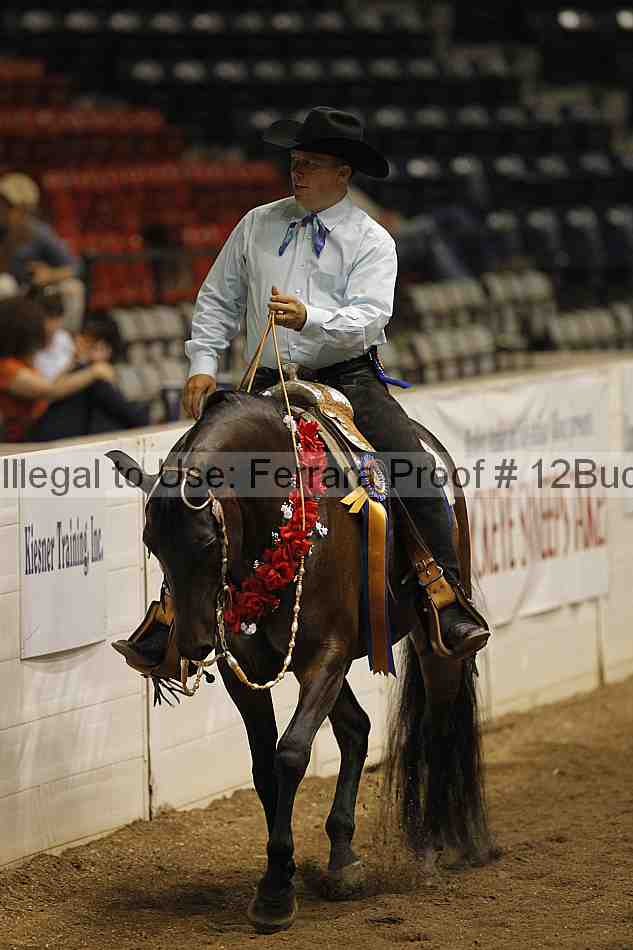 Proof Number 12buck_3427