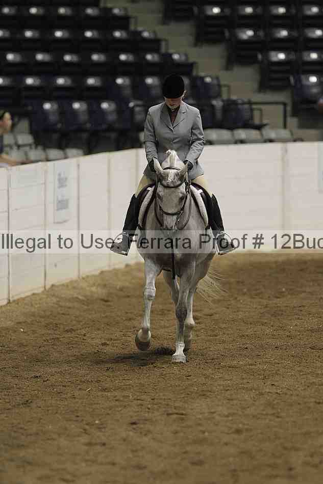 Proof Number 12buck_3479