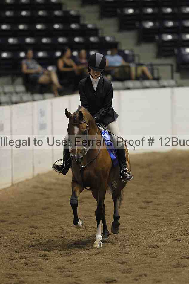 Proof Number 12buck_3570