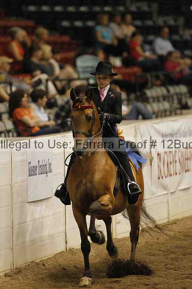 Proof Number 12buck_3618