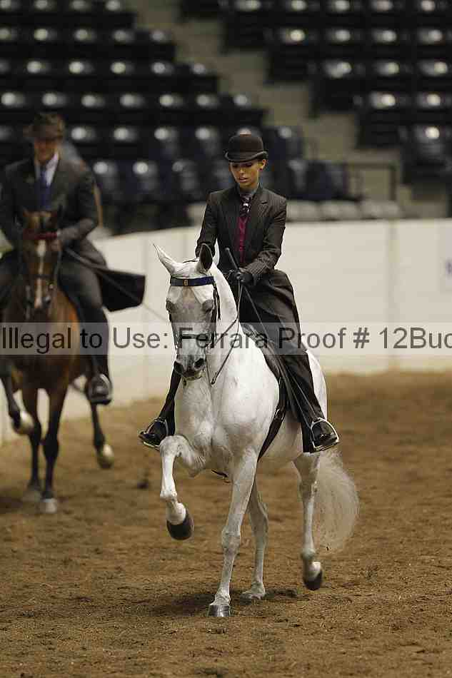 Proof Number 12buck_3706