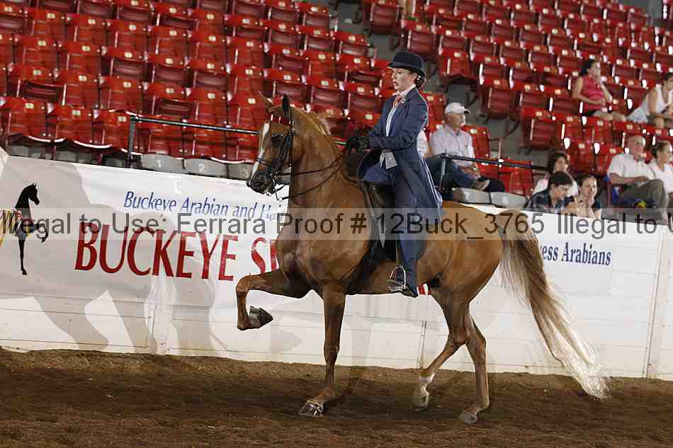 Proof Number 12buck_3765